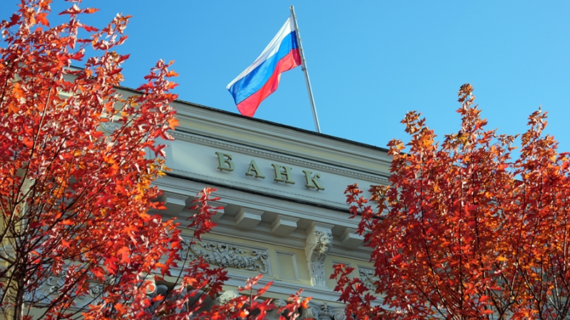 ЦБ выступает против запрета микрозаймов. Что нужно знать