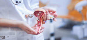 Гинекология: услуги, польза и преимущества регулярного наблюдения у врача