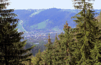 Польша открывает два пункта пропуска на границе с Белоруссией