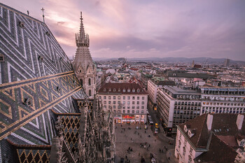 Турист вернул в собор Вены череп, украденный 60 лет назад