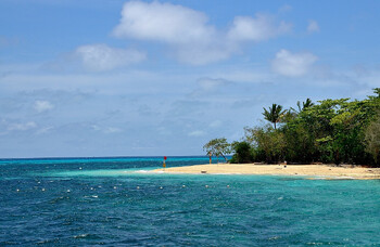 В Австралии пассажирка круизного лайнера осталась на необитаемом острове и погибла