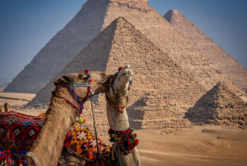 В Египте планируют вдвое повысить стоимость туристической визы