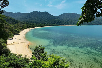 В Малайзии ребёнок из РФ умер после контакта с медузой