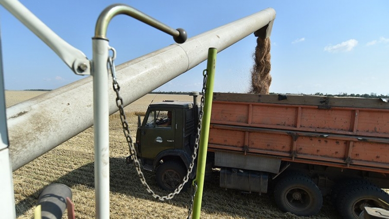 Джонсон и Эрдоган договорились о совместной работе по поставкам украинского зерна