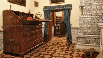 Эрмитаж закрыл Зимний дворец Петра I из-за COVID-19