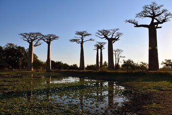 На Мадагаскар обрушился мощный тайфун: жителей эвакуируют 