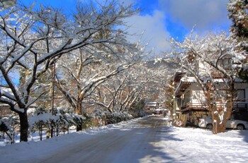 В Японии из-за рекордных снегопадов отменены авиарейсы 